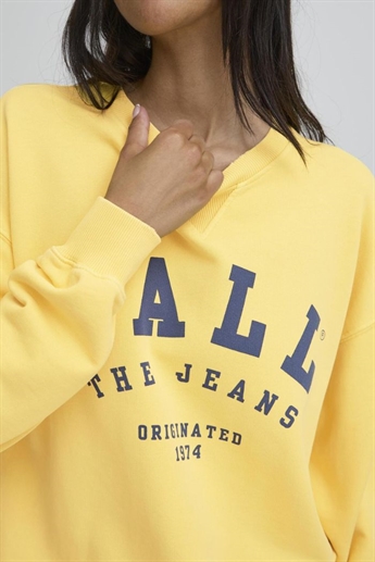 BALL, BAMALDINI CREW NECK SWEAT, Beach ball